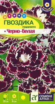 Цветы Гвоздика Черно-белая  Геддевига /Сем Алт/цп 0,04 гр.