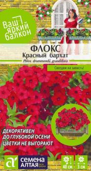 Цветы Флокс Красный бархат  /Сем Алт/цп 0,1 гр.