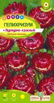 Цветы Гелихризум Пурпурно-красный /Сем Алт/цп 0,2 гр