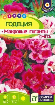 Цветы Годеция Махровые гиганты смесь /Сем Алт/цп 0,2 гр.