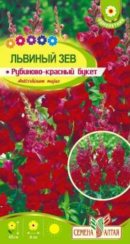 Цветы Львиный зев Рубиново-красный букет /Сем Алт/цп 0,2 гр.