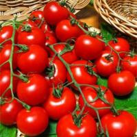 Томат Ожерелье Красное  Сем Алт/цп 20 шт. Наша Селекция!