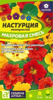 Цветы Настурция Махровая смесь низкорослая/Сем Алт/цп 0,5 гр.