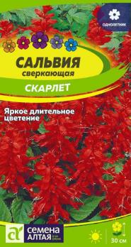 Цветы Сальвия Скарлетт сверкающая /Сем Алт/цп 0,1 гр.