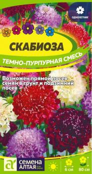 Цветы Скабиоза Темно-Пурпурная смесь   /Сем Алт/цп 0,3гр.