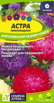 Астра Королевский размер Смесь Цп