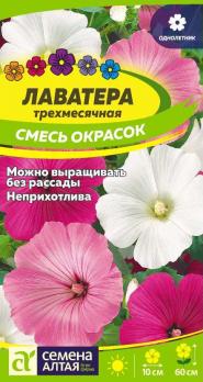 Цветы Лаватера  Смесь Окрасок /Сем Алт/цп 0,2 гр.