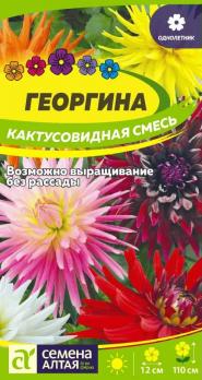 Цветы Георгина Кактусовидная /Сем Алт/цп 0,1 гр