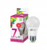 Лампа СВЕТОДИОДНАЯ ASD 7Вт LED-А60  белый 6500 К  холодный свет