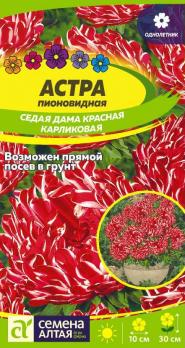 Астра Седая Дама Красная карликовая/Сем Алт/цп 0,2 гр.