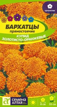 Цветы Бархатцы Купид Золотисто-Оранжевые /Сем Алт/цп 0,3 гр.