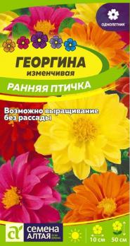 Цветы Георгина Ранняя Птичка   /Сем Алт/цп 0,3гр