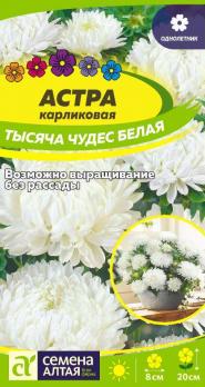 Астра Тысячу чудес белая карликовая/Сем Алт/цп 0,2 гр.