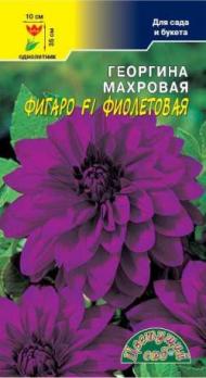 Цветы Георгина Фигаро Фиолетовая махровая  /Сем Алт/цп 5 шт