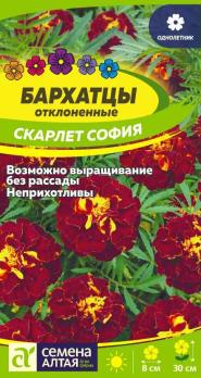 Цветы Бархатцы Скарлет София /Сем Алт/цп 0,2 гр. Д6, 20-30см