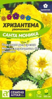 Цветы Хризантема Санта Моника увенчанная/Сем Алт/ цп 0,3гр Многолетник