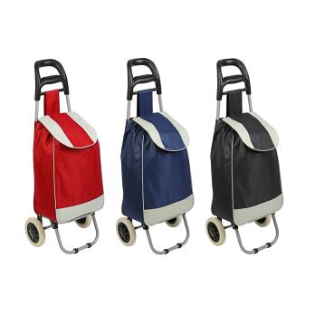 Сумка ТЕЛЕЖКА *467005 до 30кг брезент 36*26*94 см