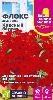 Цветы Флокс Красный бархат друммонда  /Сем Алт/цп 0,05гр.