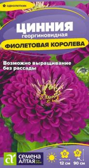 Цветы Цинния Фиолетовая Королева/Сем Алт/цп 0,3 гр.
