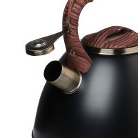 Чайник сталь. 847-121 "Форно" 2,8л Vetta индукция_4