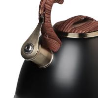 Чайник сталь. 847-121 "Форно" 2,8л Vetta индукция_5