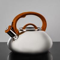 Чайник стальной  3,0 л индукция*847059 "ИВА"  ВЕТТА_6